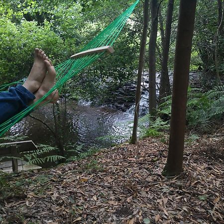 Quinta Das Aguias Αβέιρο Εξωτερικό φωτογραφία