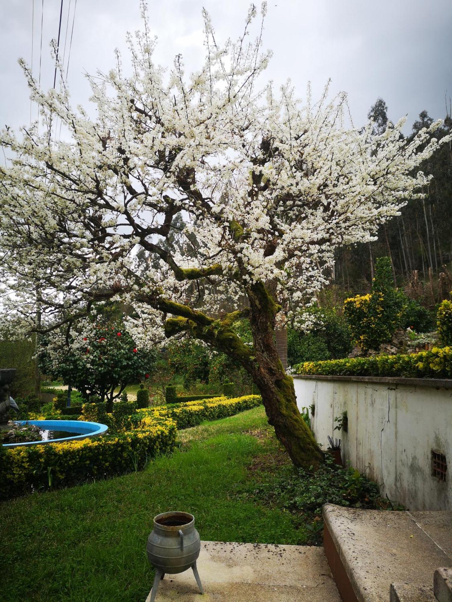 Quinta Das Aguias Αβέιρο Εξωτερικό φωτογραφία