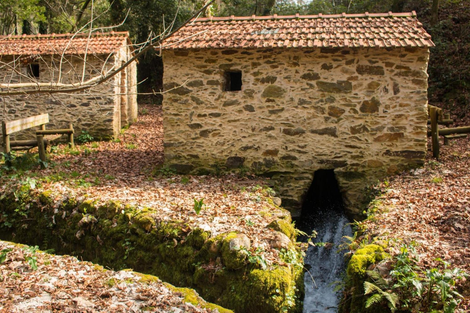 Quinta Das Aguias Αβέιρο Εξωτερικό φωτογραφία