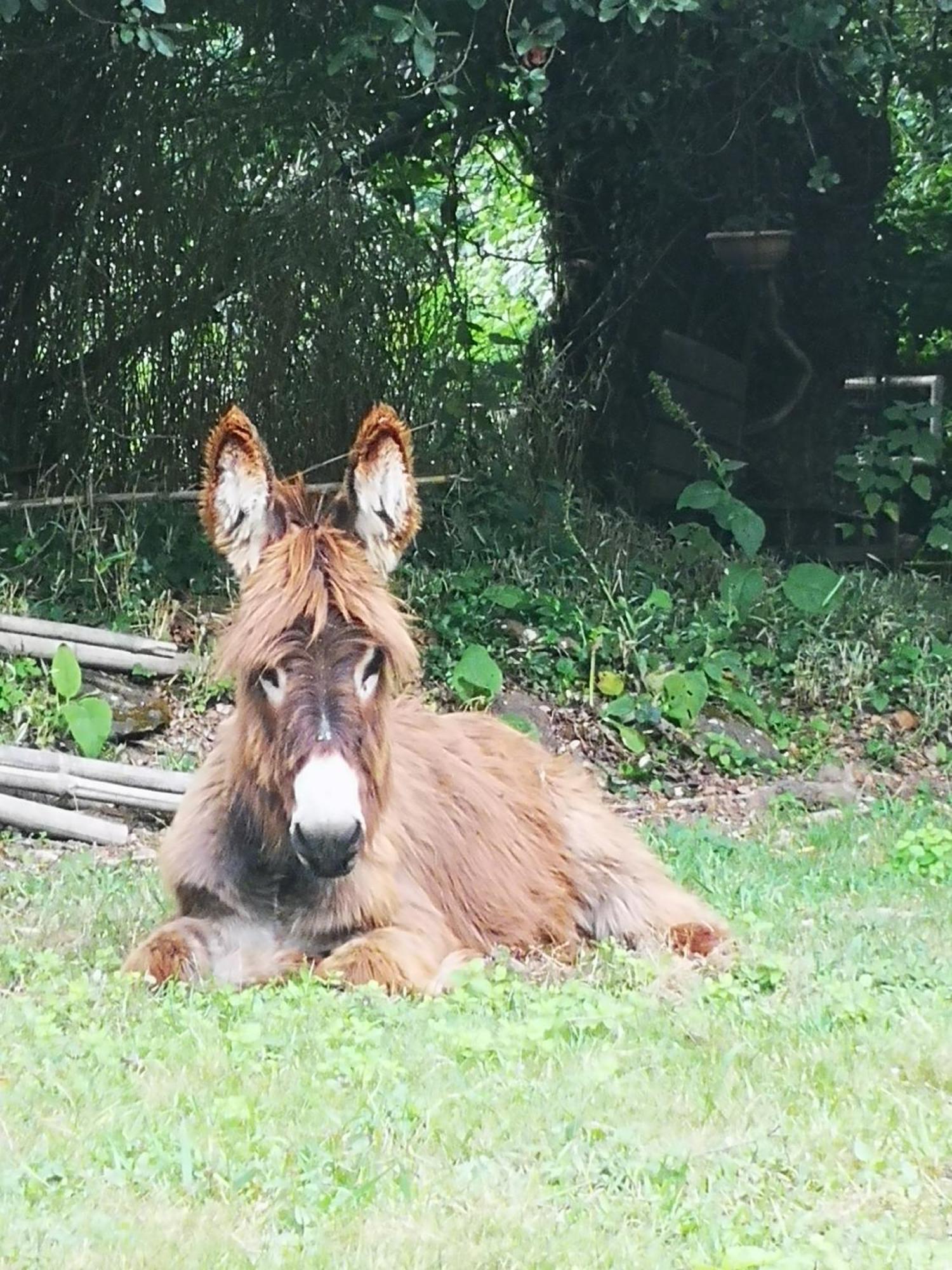 Quinta Das Aguias Αβέιρο Εξωτερικό φωτογραφία
