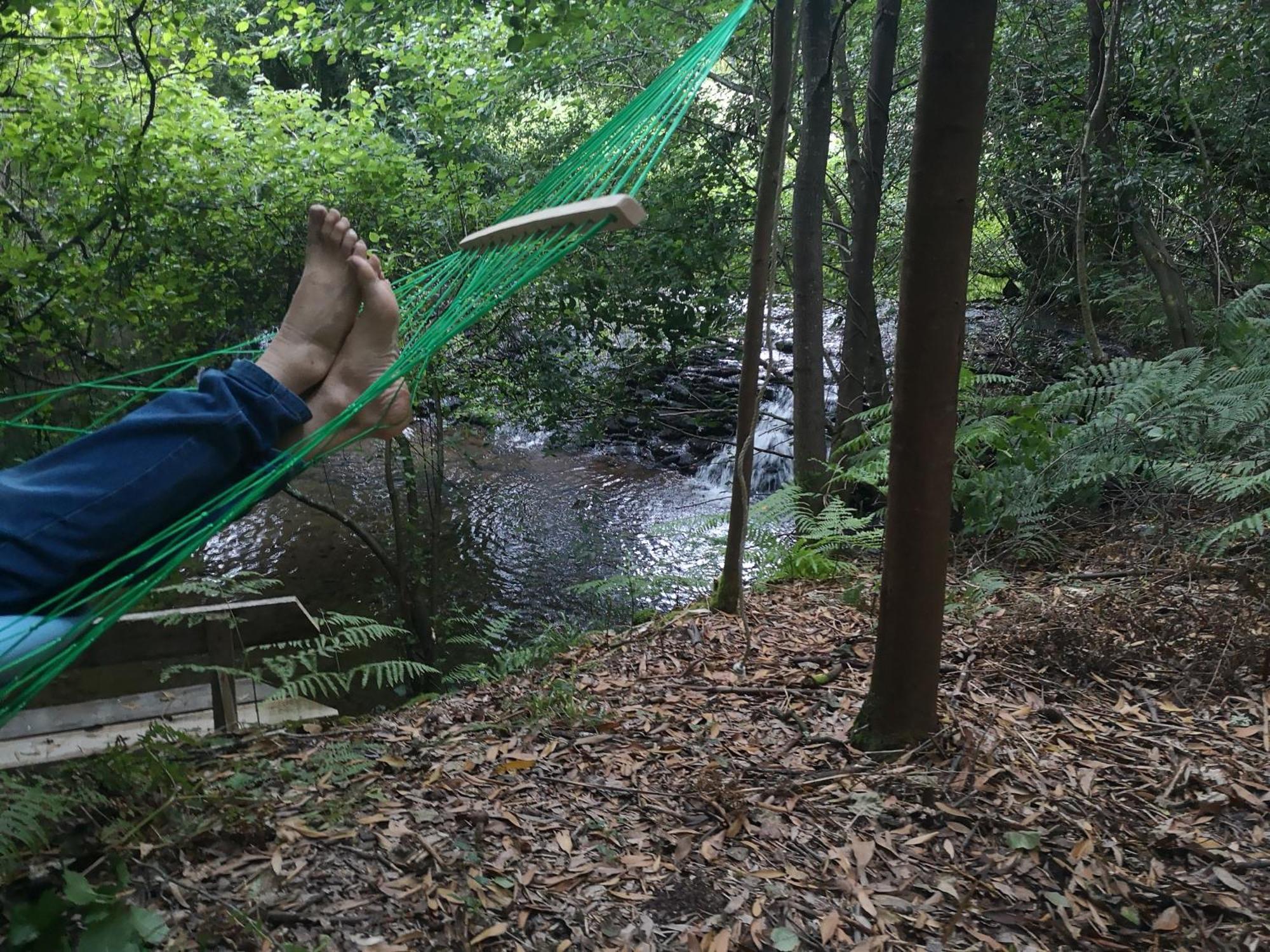 Quinta Das Aguias Αβέιρο Εξωτερικό φωτογραφία