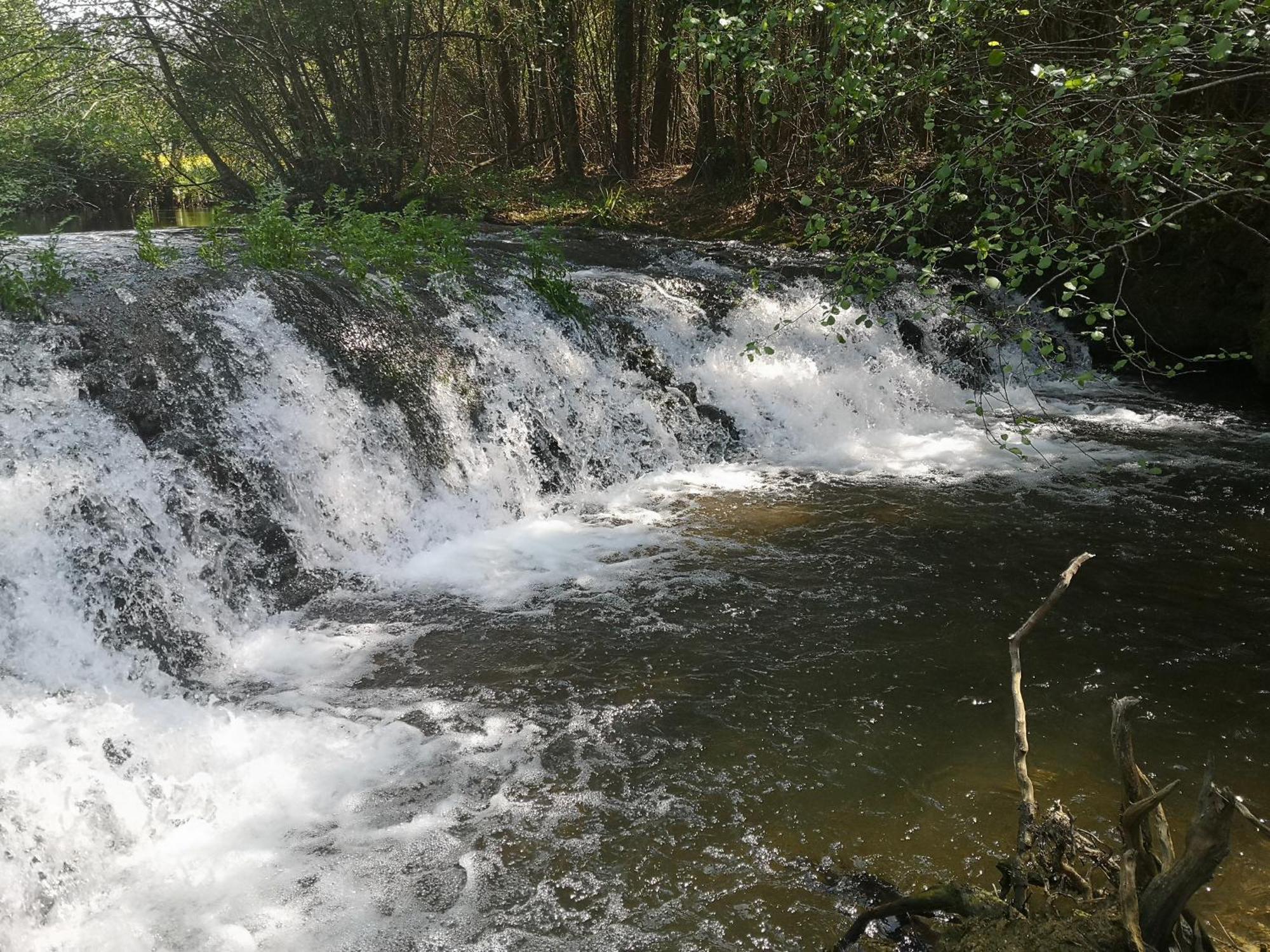 Quinta Das Aguias Αβέιρο Εξωτερικό φωτογραφία