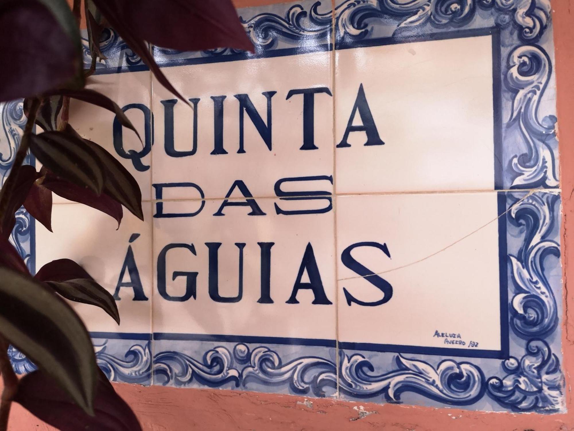 Quinta Das Aguias Αβέιρο Εξωτερικό φωτογραφία