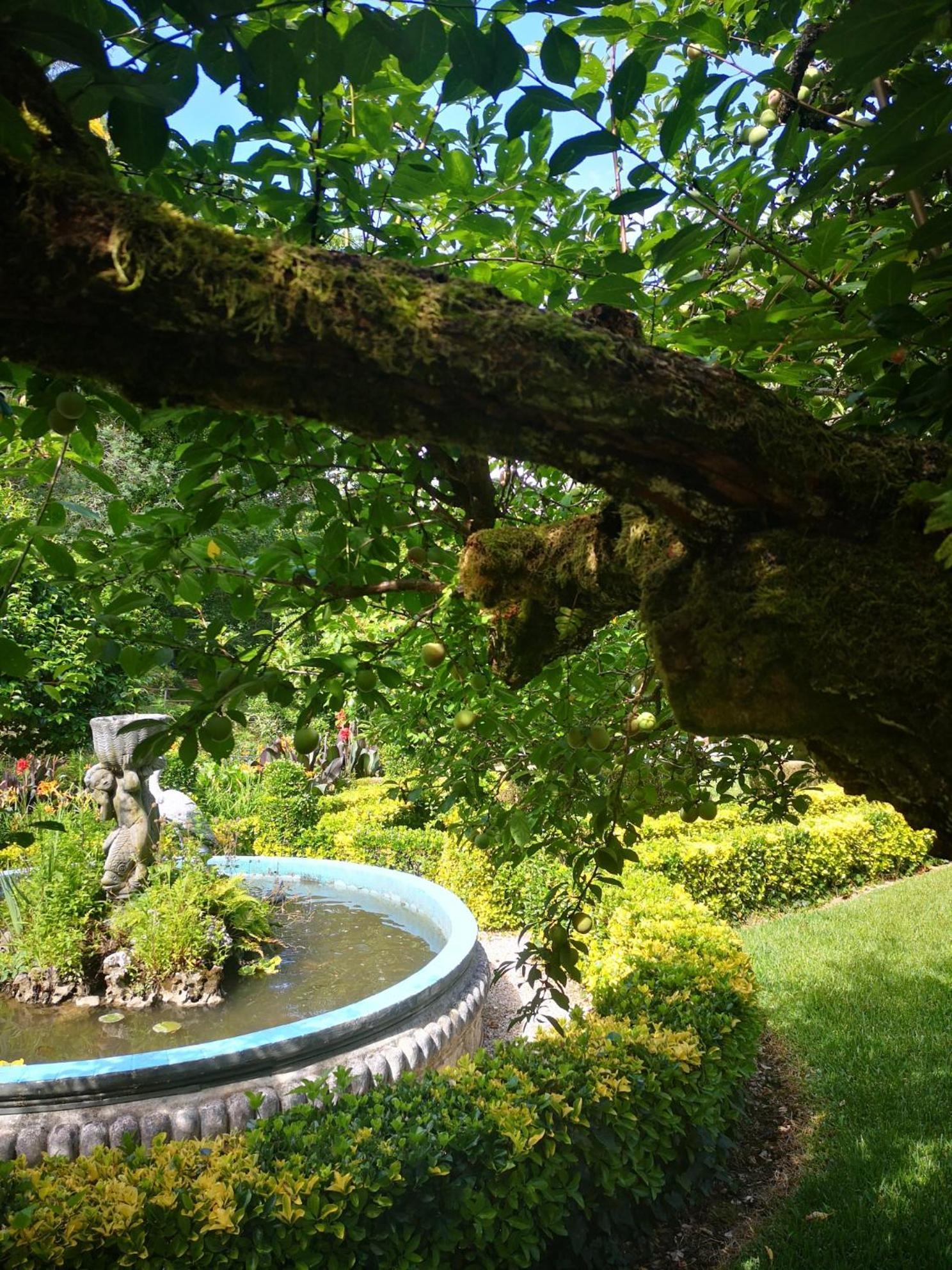 Quinta Das Aguias Αβέιρο Εξωτερικό φωτογραφία
